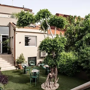 Luxury Euphorbia Bed & Breakfast